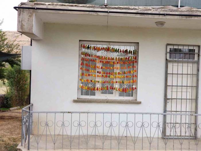 Elazığ’da Kadınların Kış Hazırlığı Renkli Görüntüler Oluşturdu