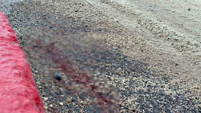 İett Otobüsü İle Motosiklet Çarpıştı: Hamile Kadın Aracın Altında Kalarak Ağır Yaralandı