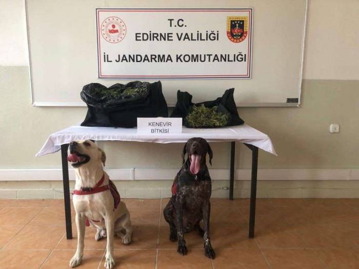 Edirne’de Ticari Taksideki Yolcunun Çantasından Uyuşturucu Çıktı