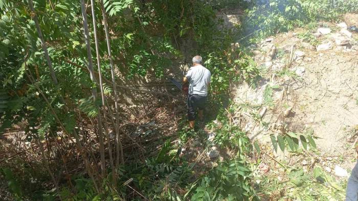 Tarihi Bizans Surları Otlardan Temizleniyor