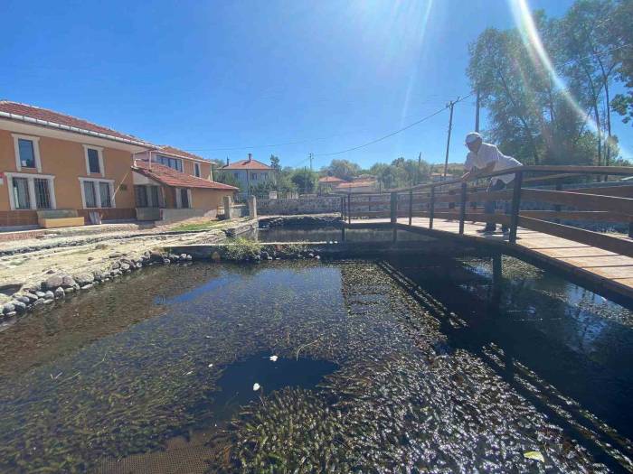 Binlerce Asker Balığının Salındığı Göl Turizme Kazandırılacak