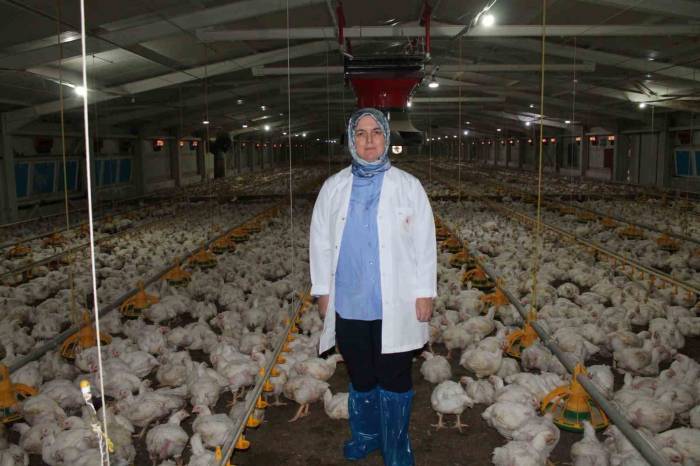 Devletten Aldığı Destekle Üretim Yapıyor