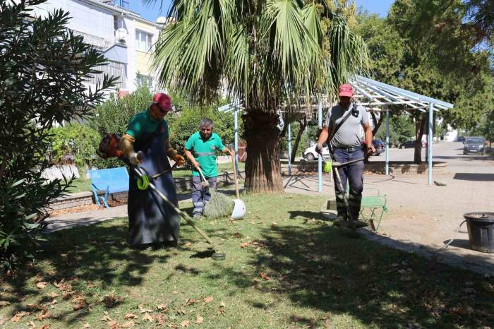 Efeler’in Ekipleri Kent Genelinde Çalışmalarını Sürdürüyor
