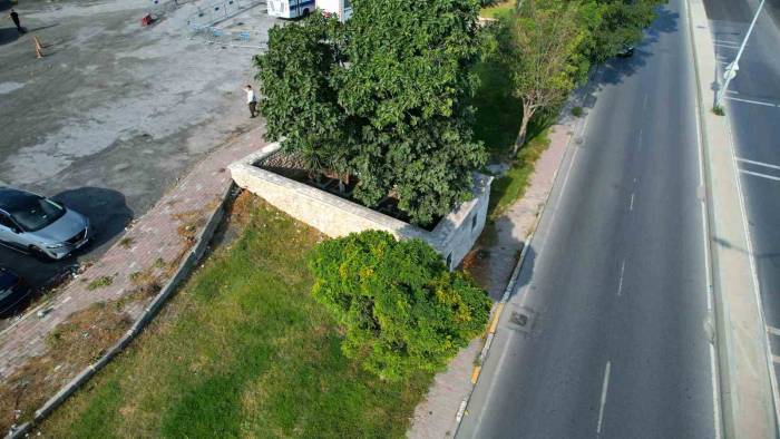 İstanbul’un Fethinde Şehit Olan Askerlerin Kabirlerinin Bulunduğu Türbe Çöplüğe Döndü