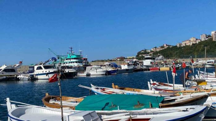 Kayhan, "Halkımız 15 Ekim’den Sonra Balığı Daha Ucuz Yiyecek"