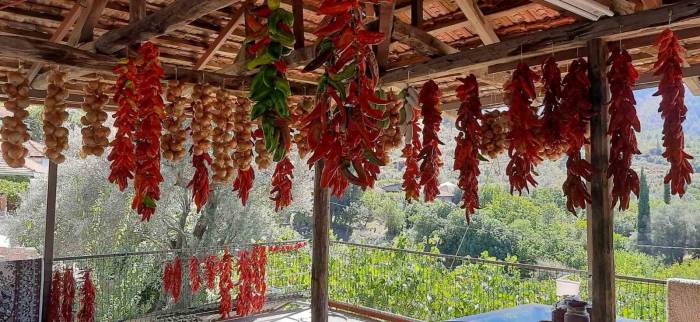 Muğla’da Kış Hazırlığı Renkli Görüntüler Oluşturdu