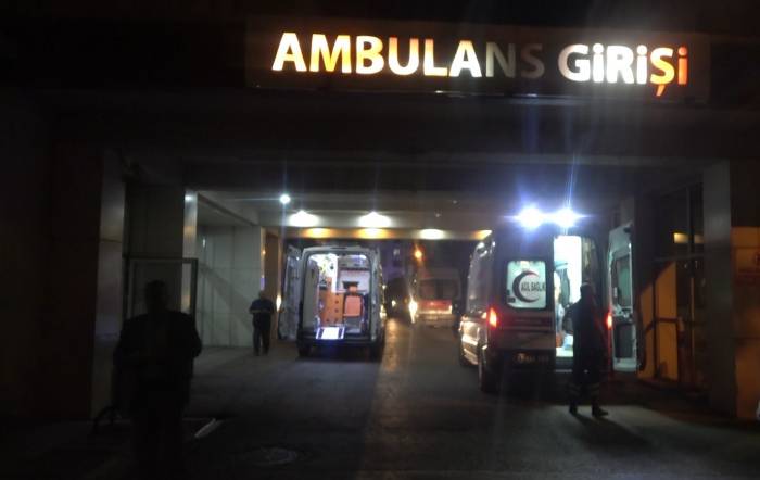 Armut Toplarken Ağaçtan Düşen Şahıs Yaralandı