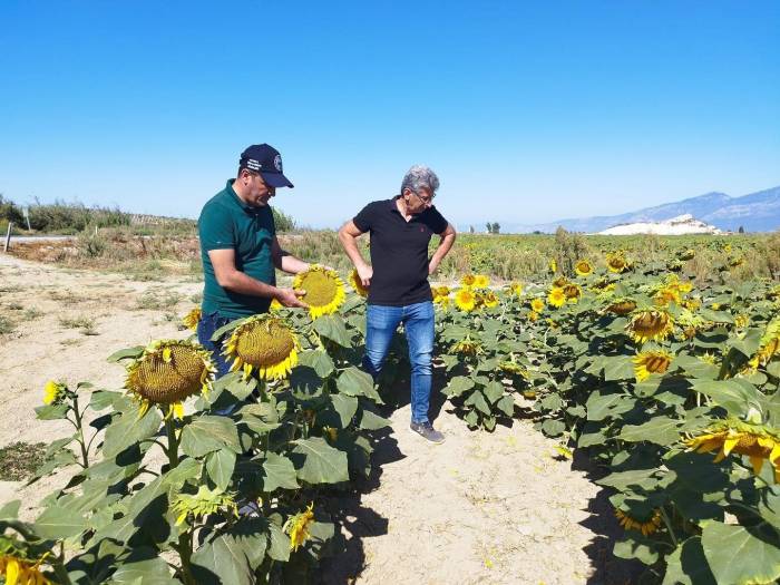 Didim’de Haftalık Kontroller Devam Ediyor