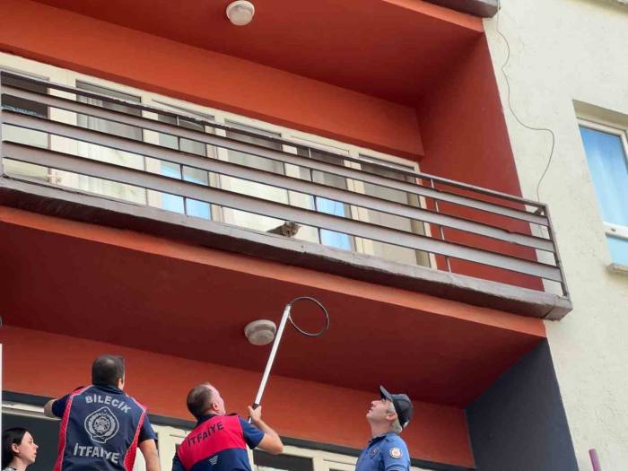 Bilecik’te Bir Evin Balkonundan Mahsur Kalan Kediyi İtfaiye Ekibi Kurtardı