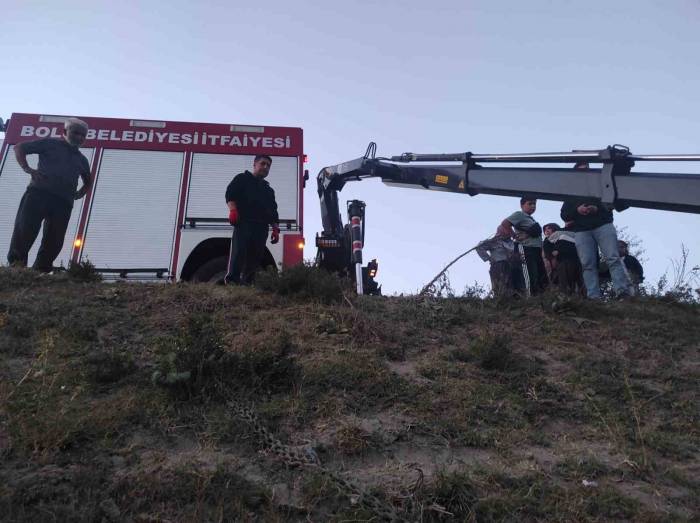 Derede Mahsur Kalan İnek, Vinç Yardımıyla Kurtarıldı