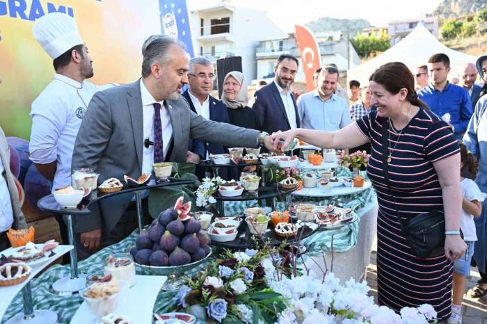 Bursa’nın ’siyah İncisi’nde Hasat Başladı