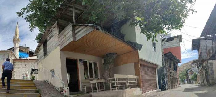 Ceviz Ağacı Kütüphanenin Çatısının İçinden Yükseliyor, Toplanan Cevizler Köyün Ortak Giderleri İçin Satılıyor