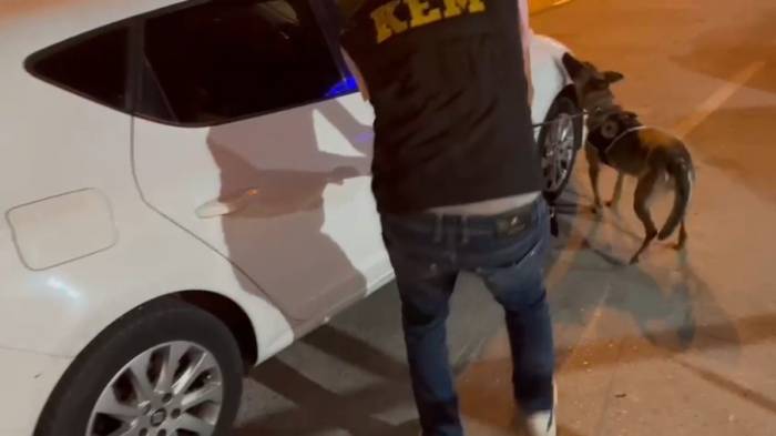 Narkotik Köpekleri Yerini Gösterdi, Zulalanmış Uyuşturucular Yakalandı