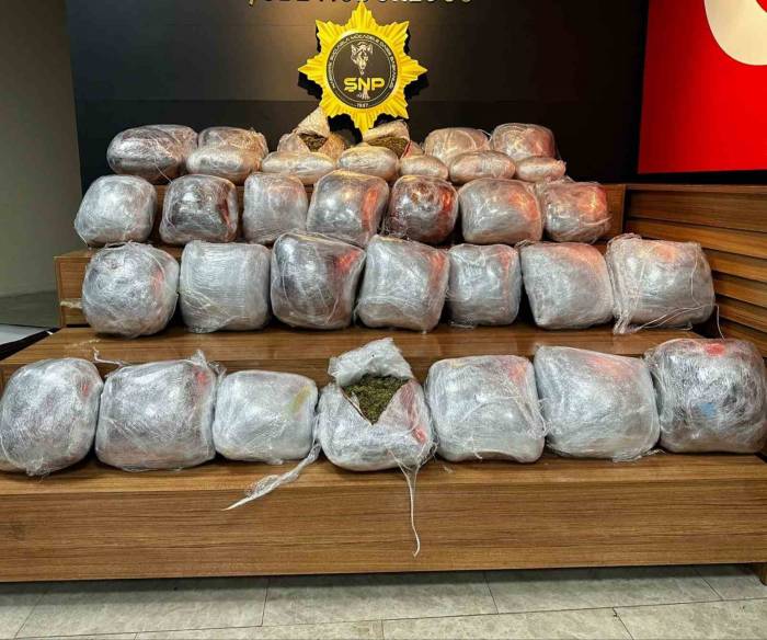 Şanlıurfa’da 64 Kilogram Skunk Ele Geçirildi: 11 Tutuklama
