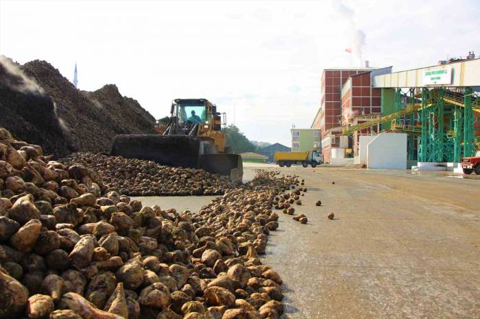 Amasya Şeker Fabrikası’nda 70. Pancar Alım Kampanyası Başladı