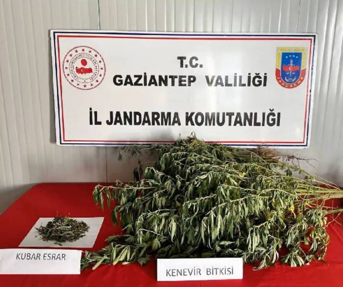 Gaziantep’te Uyuşturucu Operasyonlarında 295 Şüpheli Yakalandı