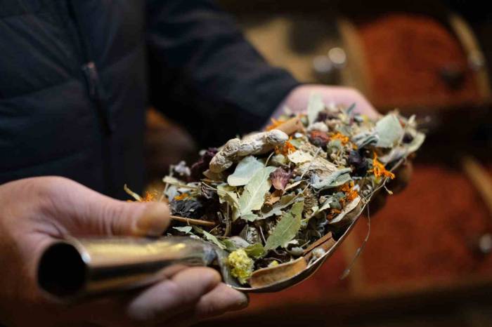 Aktarlarda Sonbahar Hareketliliği