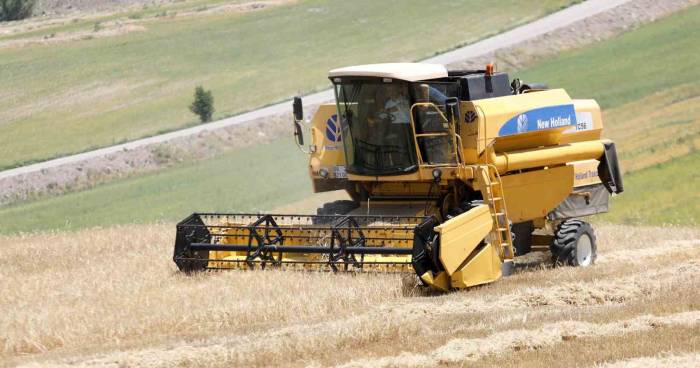 Sincan Belediyesinden Çiftçilere Buğday Tohumu Desteği