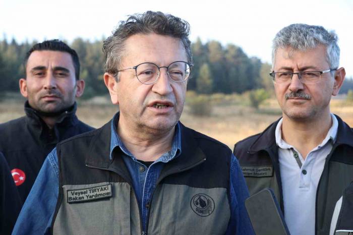 Bakan Yardımcısı Tiryaki: “Yangının Ateşi Söndürüldü”