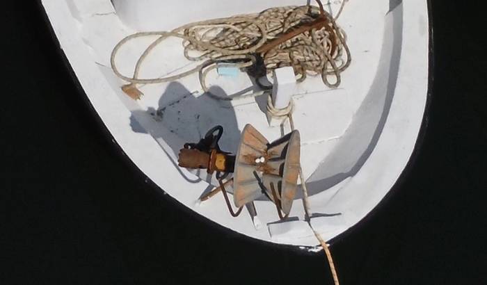 Kumru Balıkçı Teknesine Yuva Yaptı