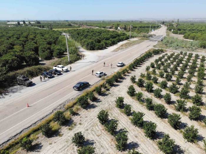 Jandarma, Narenciye Hırsızlığına Karşı 24 Saat Görev Başında