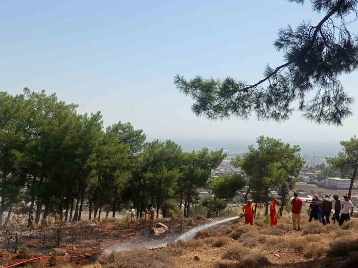 Hatay’da Ormanlık Alandaki Örtü Yangını Söndürüldü