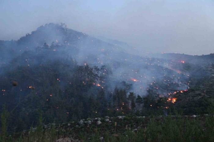 İzmir’deki Orman Yangınına Müdahale Sürüyor
