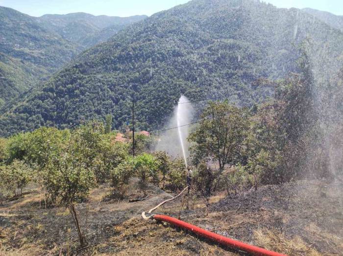 Kastamonu’da Anız Yangını Ormana Sıçramadan Söndürüldü