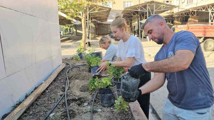 Avrupa Hareketlilik Haftası "Çiçeklen Buharkent" Etkinliği İle Başladı