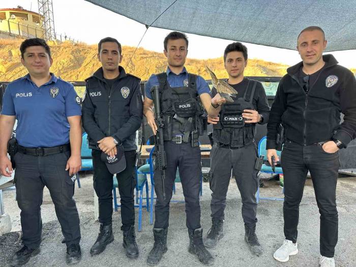 Polisten Balaban Kuşuna Şefkat Eli