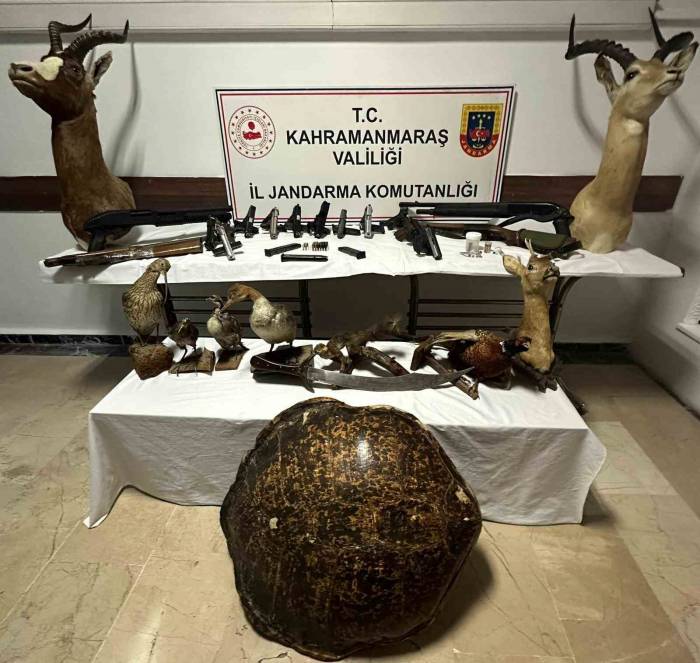 Baskın Yapılan Evden Cephanelik Çıktı