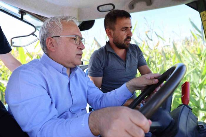 Hasadı Başladı, 200 Bin Ton Rekolte Bekleniyor