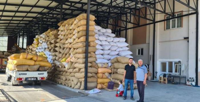 Fındık Fiyatındaki Artış Üreticiyi Sevindirdi