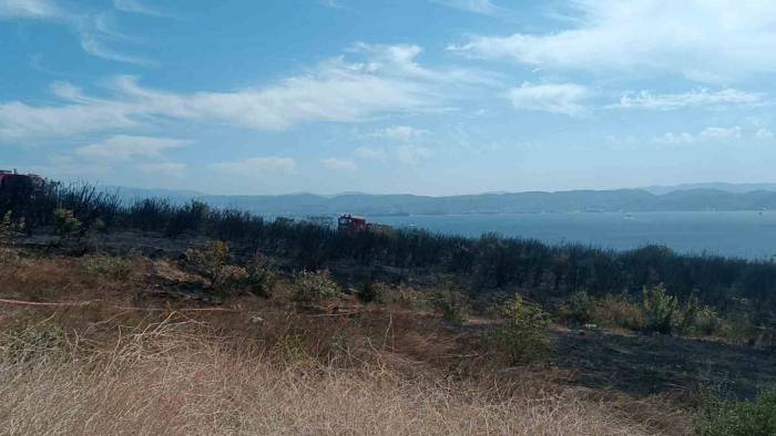 Kocaeli’de Çıkan Orman Yangını Söndürüldü