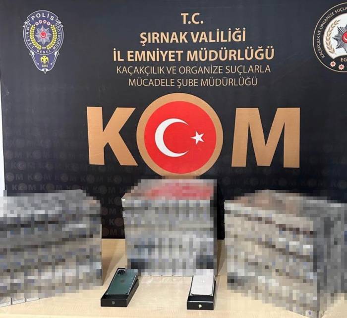 Şırnak’ta Kaçakçılık Ve Asayiş Operasyonu: 67 Gözaltı