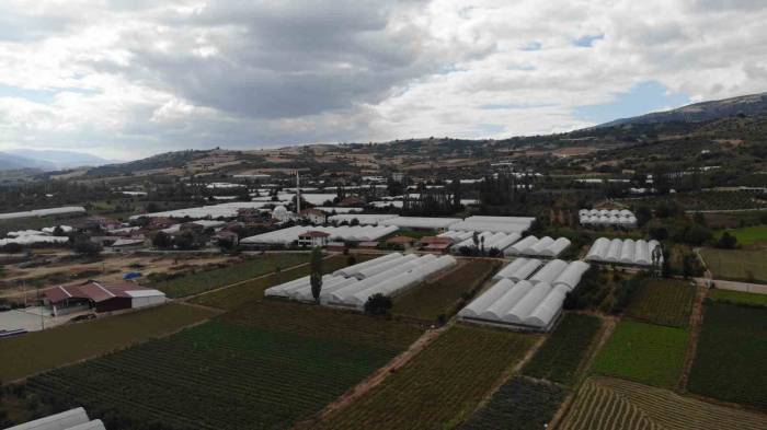 Tokat’taki Küçük Antalya: Bu Köy Göç Vermiyor Göç Alıyor