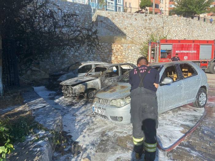 Park Halindeki Üç Araç Alevlere Teslim Oldu