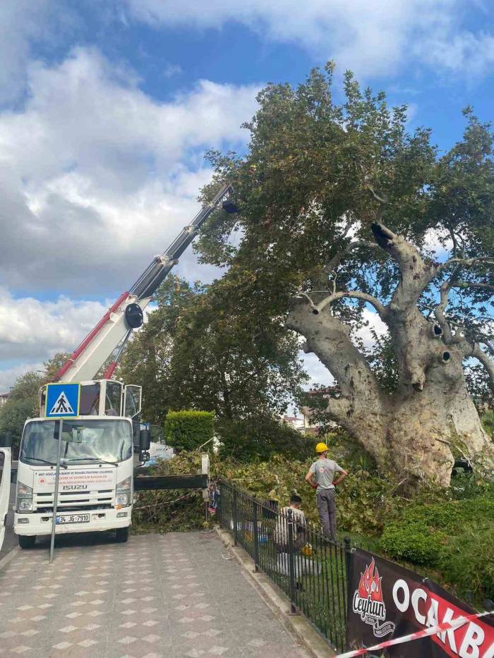 850 Yıldır Tarihe Tanıklık Ediyor