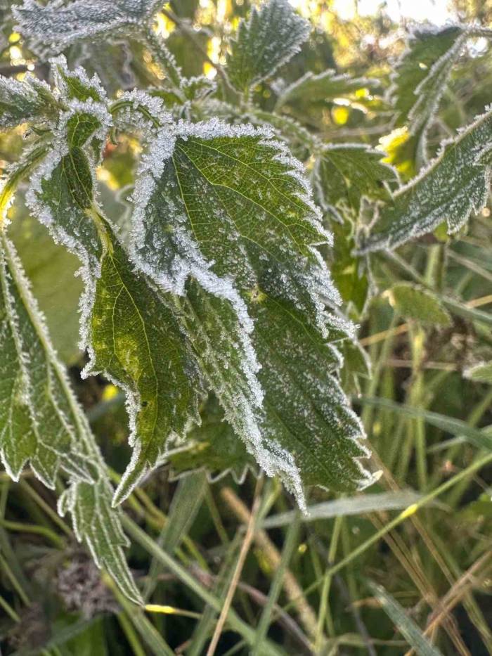 Ardahan’da Sıcaklık Sıfırın Altına Düştü