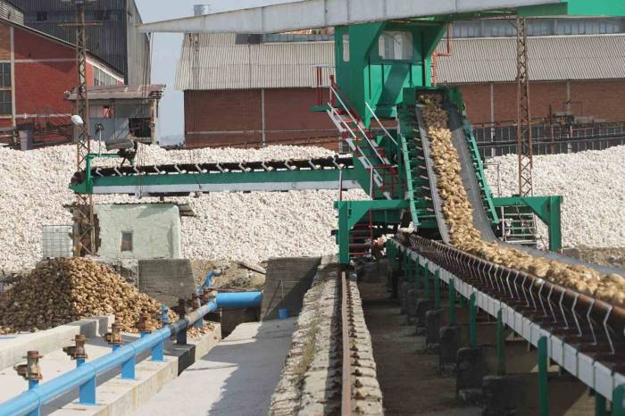 Kastamonu Şeker Fabrikasında Şeker Pancarı Alım Kampanyası Başladı