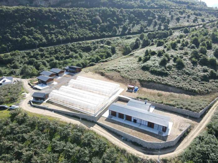 Burada Onlardan Mutlusu Olmayacak