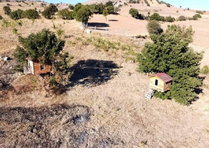 Karadeniz Değil Yozgat: Meşe Ağacının Üzerine Yaptığı Evler Dikkat Çekiyor