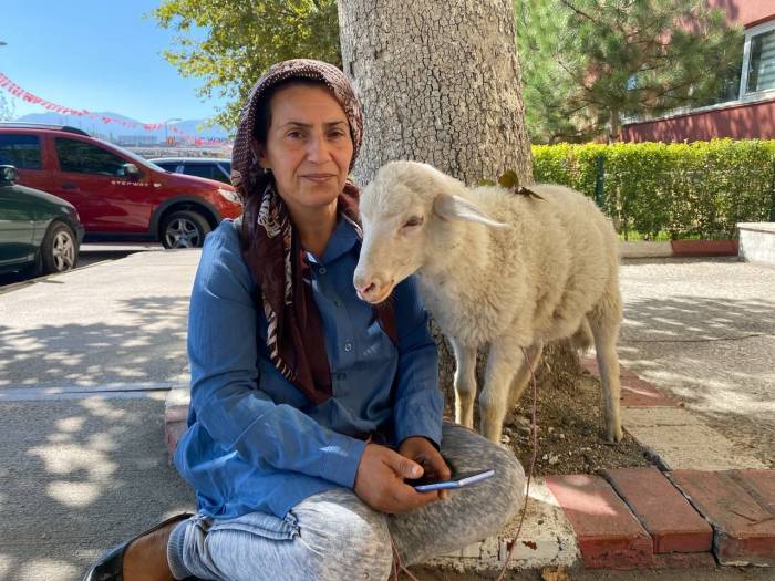 Engelli Çocuğu İçin Aldığı Kuzu Bir An Olsun Peşini Bırakmıyor