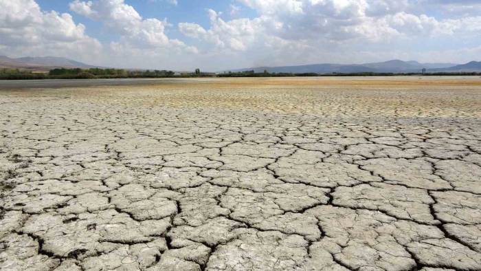 Kuş Cenneti Erçek Gölü’nün Kıyı Şeridi Buhar Oldu