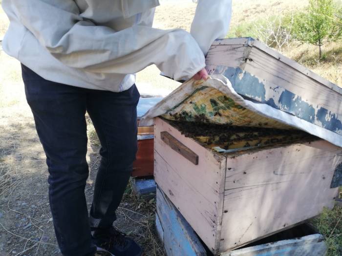 Bayburt’ta Arılı Kovan Desteklemeleri