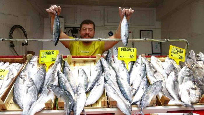 Sezonun İlk Palamutları Tezgahta...fiyatıyla Yüzleri Güldürdü