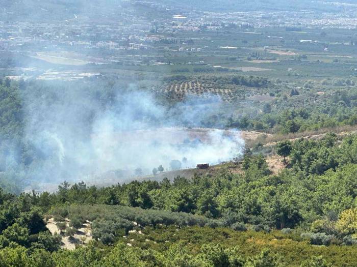 Kuşadası’ndaki Orman Yangını Büyümeden Söndürüldü