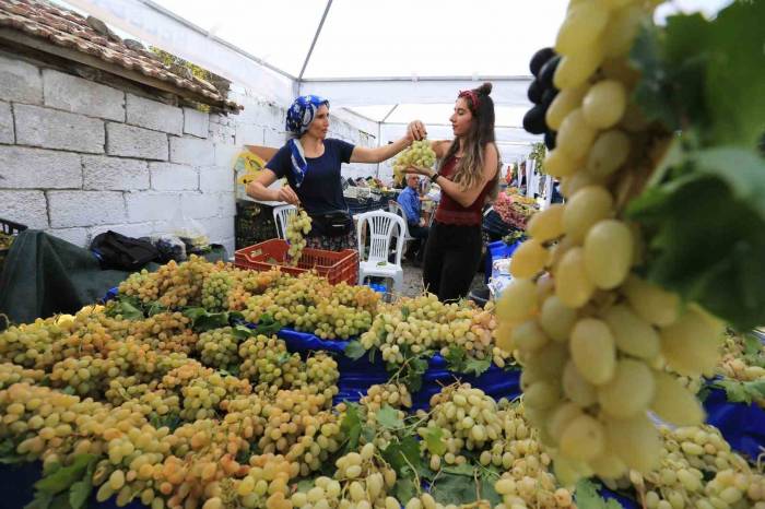 Selçuk Gökçealan Üzüm Şenliğine Hazırlanıyor