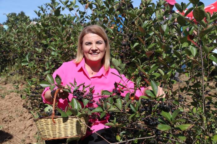 Bu Meyvenin Faydaları Saymakla Bitmiyor