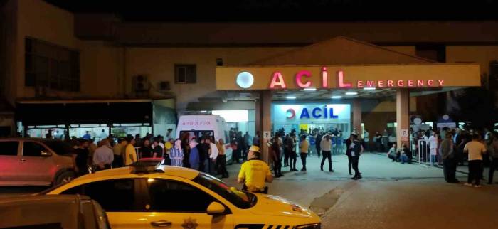 Domuz Sürüsüne Ateş Ederken Arkadaşını Öldürdü